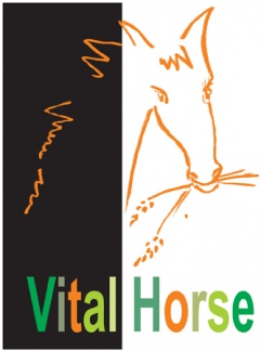 Usługi - Projektowanie - Logotyp - Vital Horse